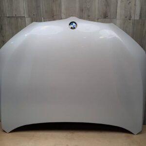 F48 X1 Hood   •A96 •Perfect Condition SKU 41409